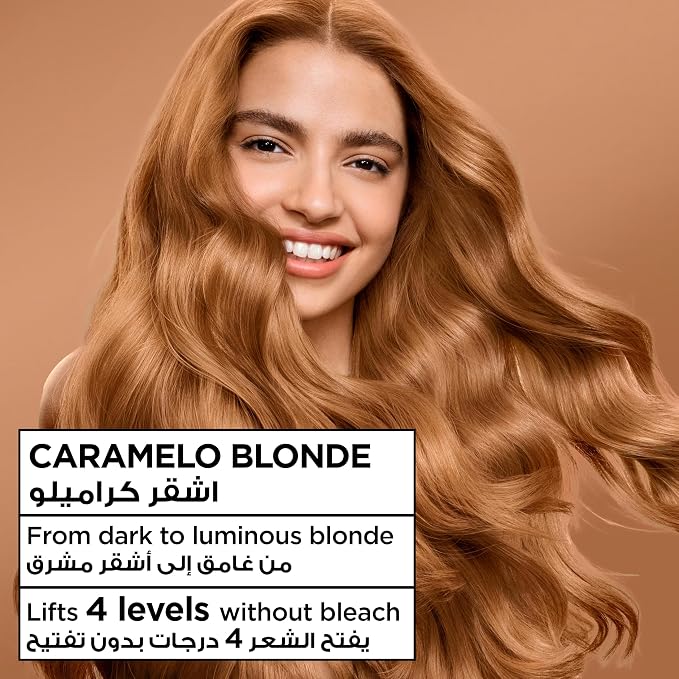 GARNIER COLORATION CARAMEL CHESNUT BL 6.31