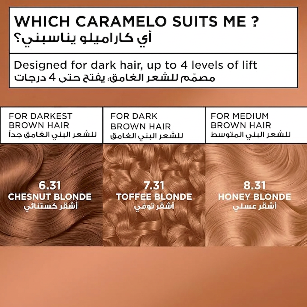 GARNIER COLORATION CARAMEL CHESNUT BL 6.31