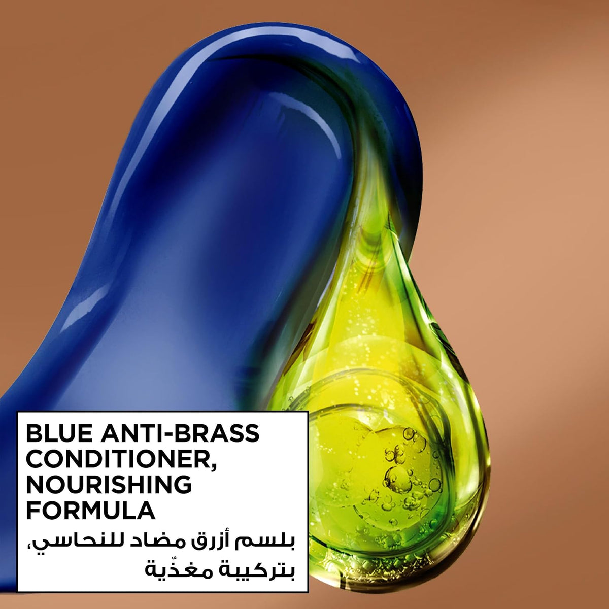 GARNIER CARAMEL HONEY  8.31
