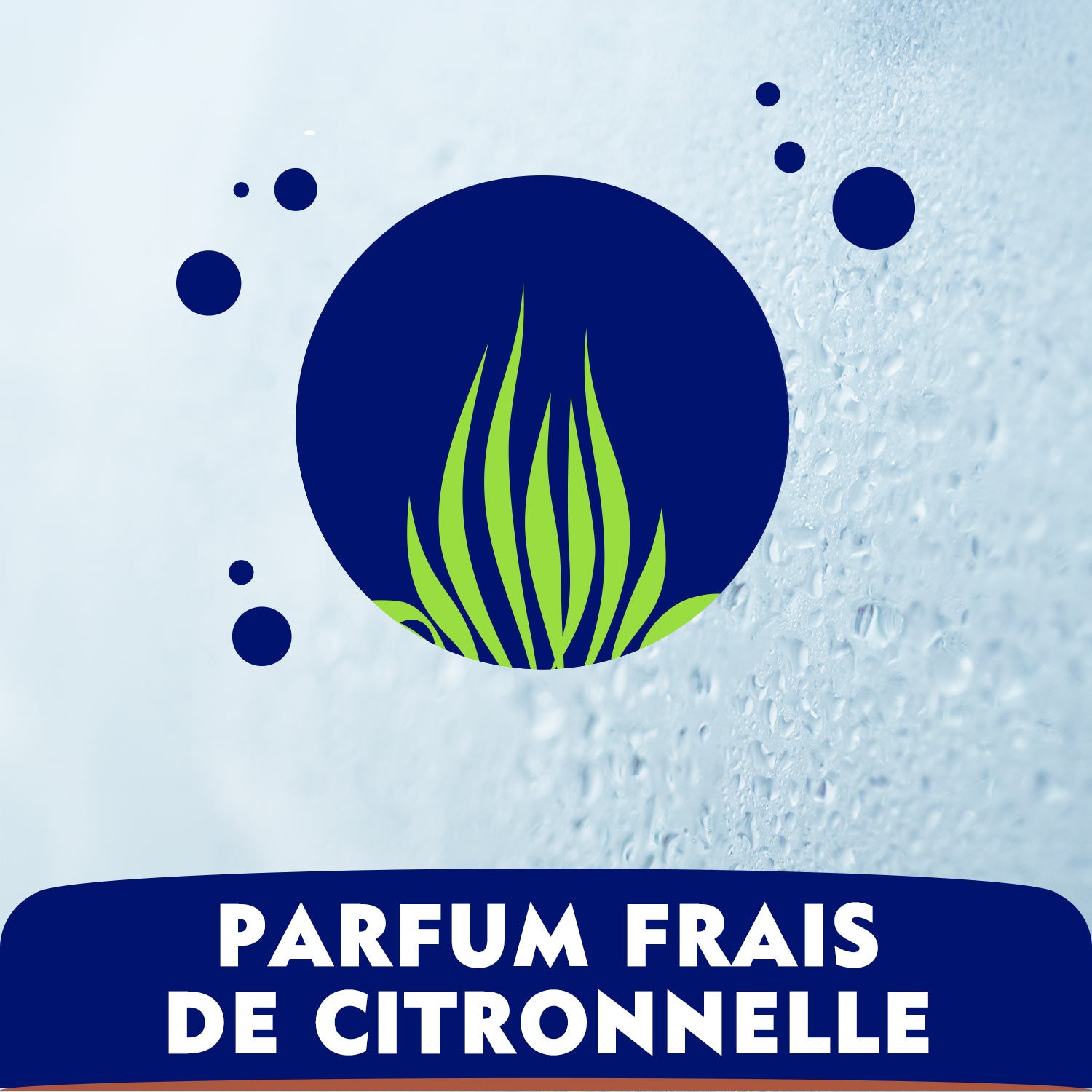 NIVEA, Gel douche, Lemongrass & Oil, 250ml