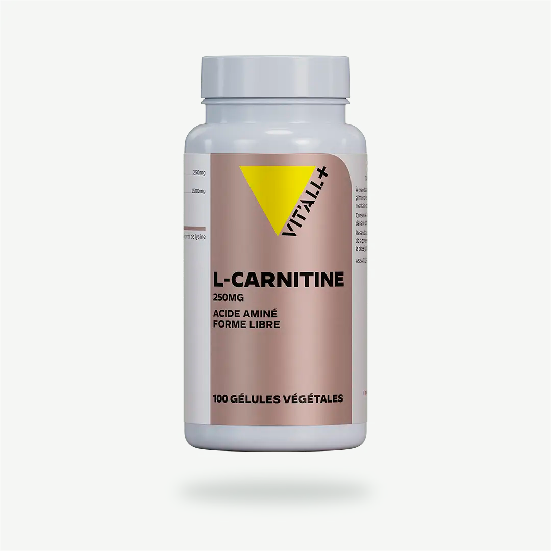 CAR50 VITALL L CARNITINE 250MG 50GEL