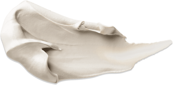 HYSEAC PATE SOS 15 G NEW - 7040035