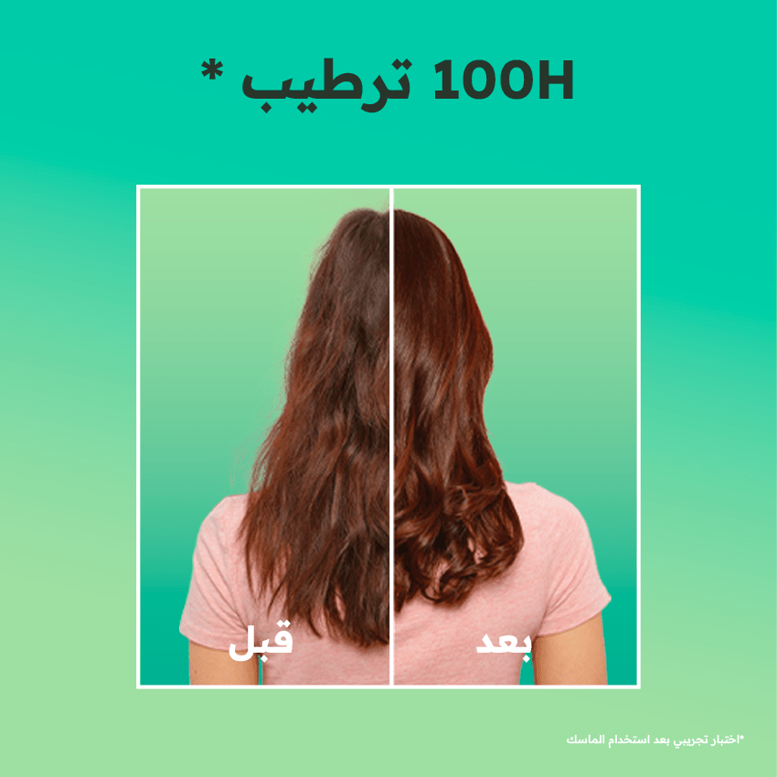 Garnier Ultra Doux Hair Food - Masque Réparateur à l'Aloe Vera - Pour Cheveux es cheveux secs - 390 ml - 3600542371063