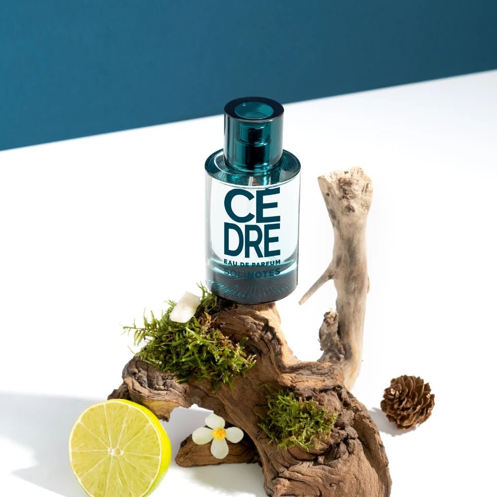 SOLINOTES CEDRE Eau de Parfum VAPO 50 ML - Solinotes | BeautyForYou.ma